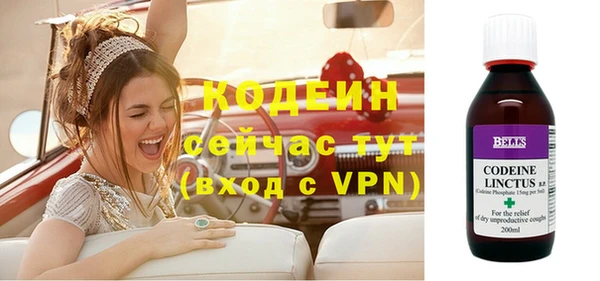 ПСИЛОЦИБИНОВЫЕ ГРИБЫ Горняк