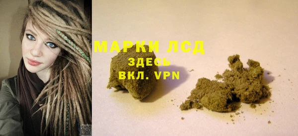 ПСИЛОЦИБИНОВЫЕ ГРИБЫ Горняк