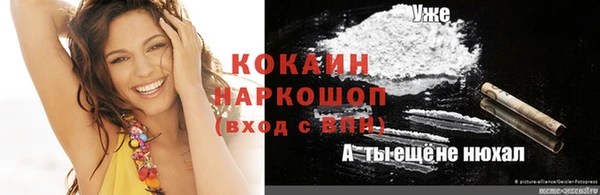 ПСИЛОЦИБИНОВЫЕ ГРИБЫ Горняк