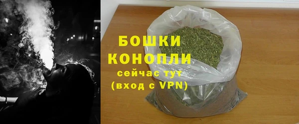 ПСИЛОЦИБИНОВЫЕ ГРИБЫ Горняк