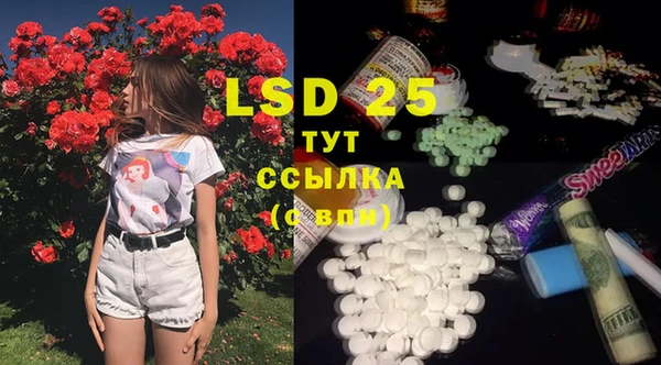 2c-b Горнозаводск