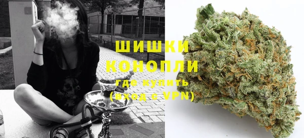 ПСИЛОЦИБИНОВЫЕ ГРИБЫ Горняк