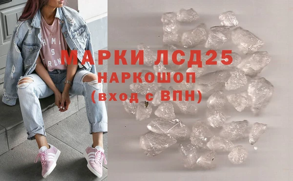 ПСИЛОЦИБИНОВЫЕ ГРИБЫ Горняк