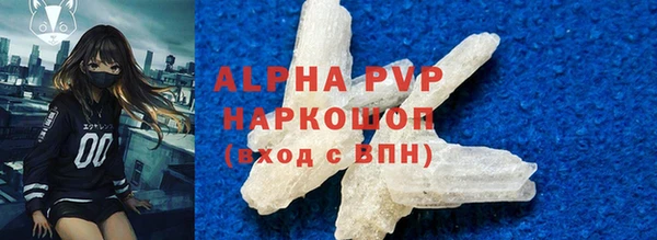 ПСИЛОЦИБИНОВЫЕ ГРИБЫ Горняк