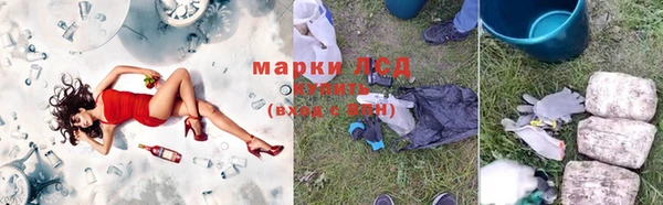 ПСИЛОЦИБИНОВЫЕ ГРИБЫ Горняк
